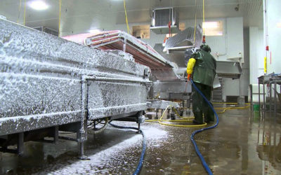 Are Your Scales Protected for The Elements?