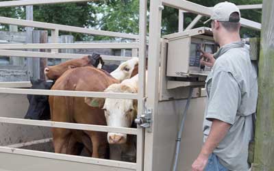 Portability Comes to Farm Scales