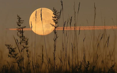 4 Money Saving Benefits of Calibrated Truck Scales