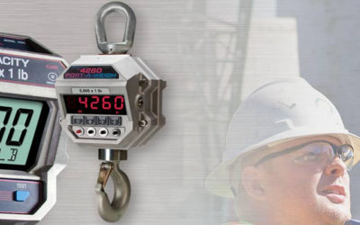 Which Crane Scale is Best for my Application